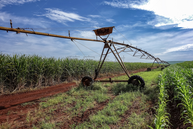 Irrigation pivot between sugarcane and corn plantations in the interior of São Paulo, Brazil