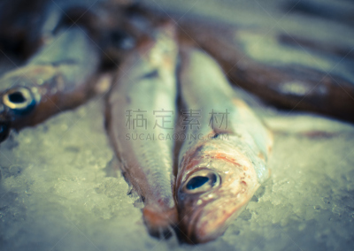 捕捞鱼,水平画幅,海产,户外,特写,餐饮服务职业,银汉鱼,动物的鳞,清新