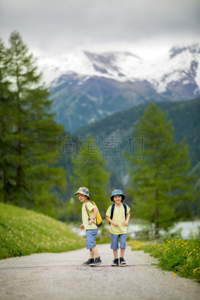 徒步旅行,兄弟,草本,瑞士阿尔卑斯山,山,小路,男孩,背包,步行,花