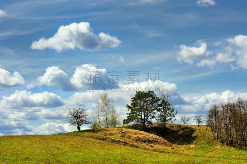 一只动物,斯普林费德,自然,暴风雨,水平画幅,山,蓝色,全景,夏天,户外