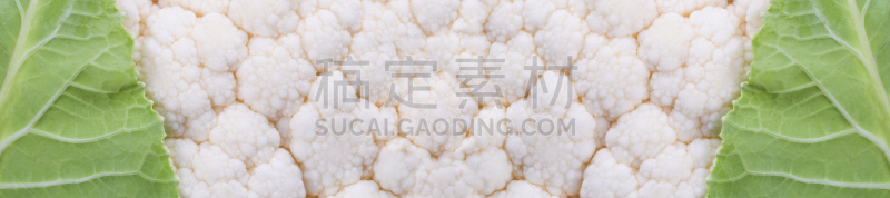 花椰菜,清新,甘蓝,水平画幅,素食,无人,生食,维生素,弹性