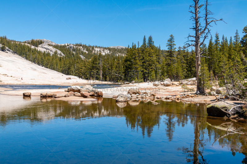 春天,tuolumne meadows,环境,加利福尼亚,自然美,加利福尼亚内华达山脉,湖,河流,夏天,户外