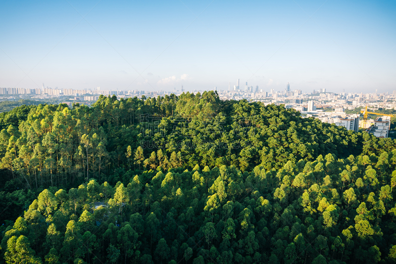 远距离,都市风景,广州,天空,留白,未来,外立面,水平画幅,高视角,无人