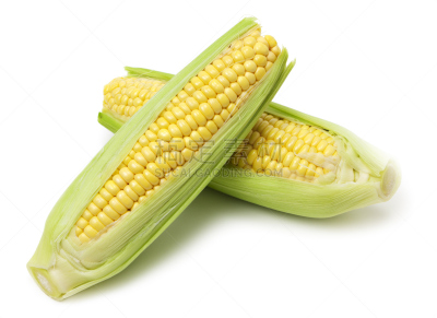 玉米,黄色,老玉米,饮食,水平画幅,无人,有机食品,正上方视角,白色背景,夏天