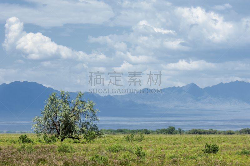 草原,东欧大草原,veldt,天空,水平画幅,山,无人,紫色背景,夏天,草