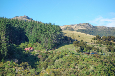 akaroa,都市风景,城镇,风景,图像,海洋,大洋洲,著名景点,新西兰,无人
