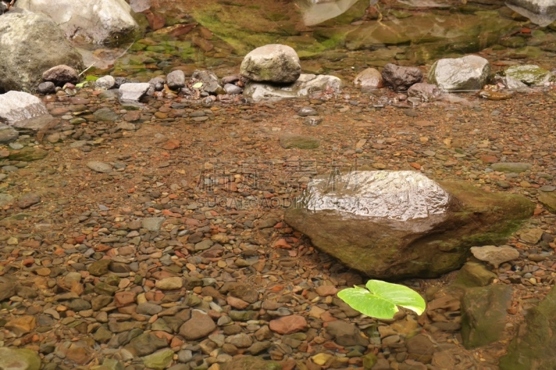 淡水鱼,泉,格里尔泉,自然,水,流水,旅游目的地,水平画幅,无人,河流