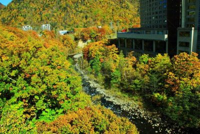 秋天,温泉,札幌,北海道,风景,黄色,红色,图像,叶子,足浴