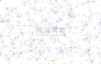 脑,神经元,图像特效,白色背景,焦点,脑部,细胞核,神经系统,水平画幅,形状