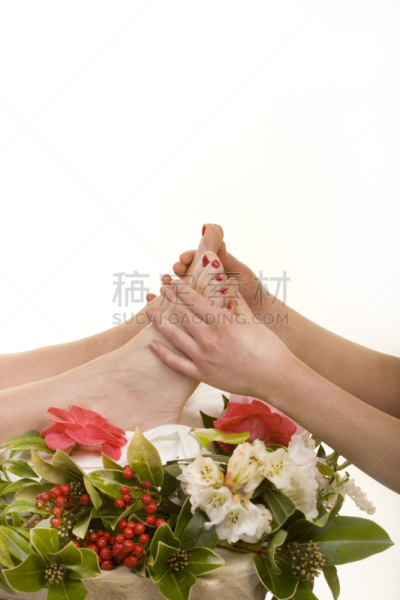 反射疗法,脚部按摩,中医,垂直画幅,美,健康保健,替代医药,替代疗法,生活方式,花