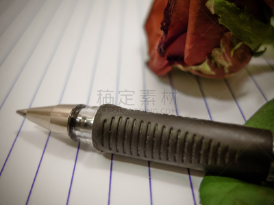 书,信函,玫瑰,办公室,留白,办公用品,成一排,水平画幅,无人,特写