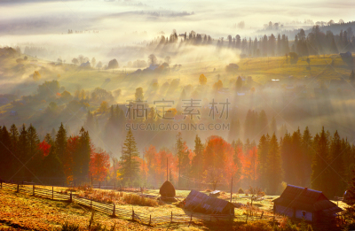 树荫,光,水平画幅,红榉,早晨,夏天,户外,草,图像,维吉尔希尔