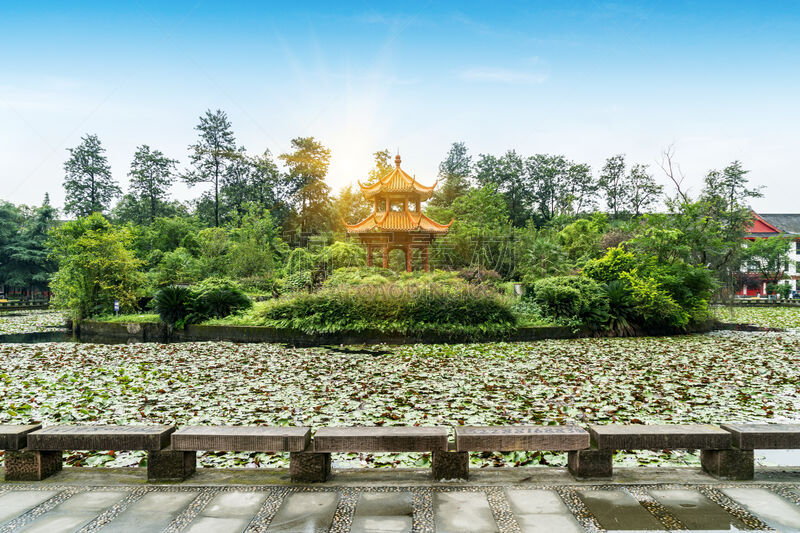 庭院,四川大学,古典风格,莲池,传统,地板,荷花,公园,现代,池塘