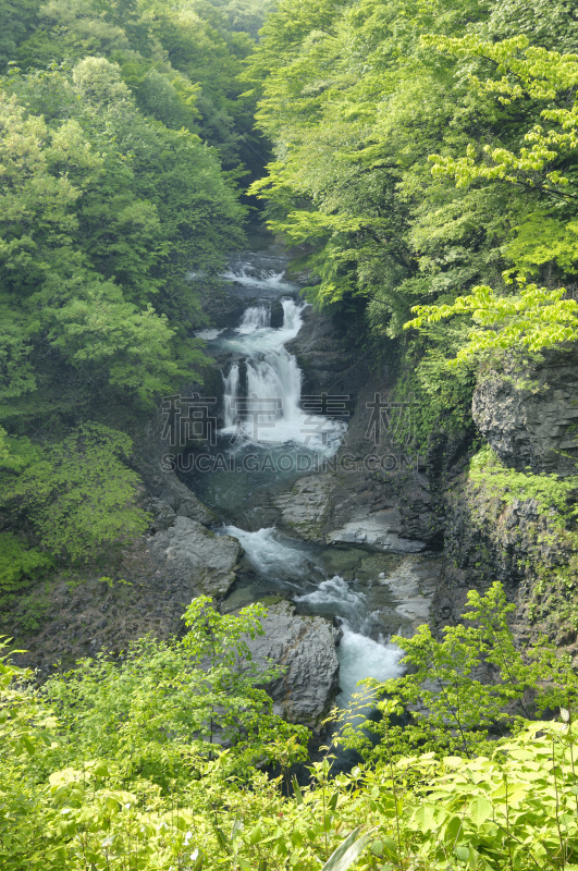 瀑布,自然,垂直画幅,水,仙台,绿色,地形,无人,日本,广濑川