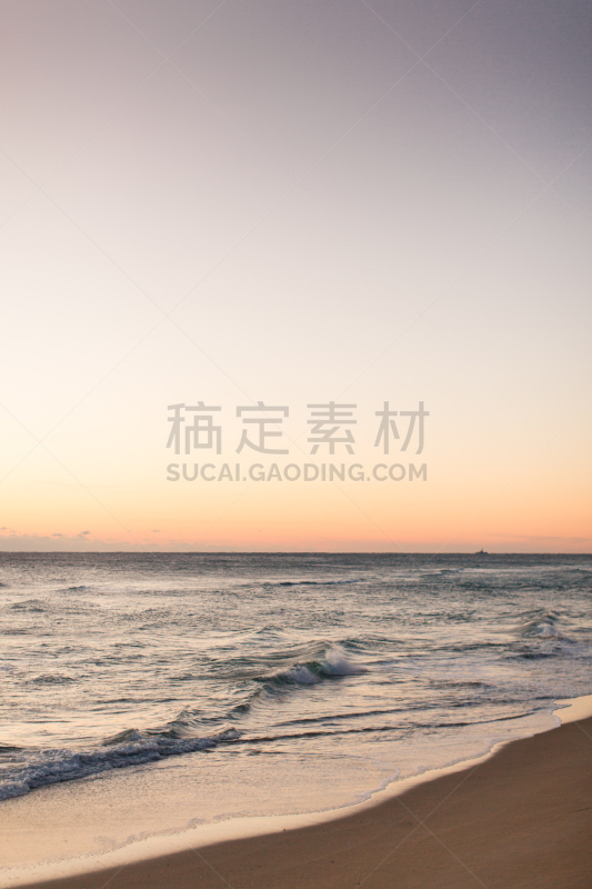 正面视角,棕榈沙滩镇,冷,垂直画幅,天空,风,沙子,光,棕榈树,明亮