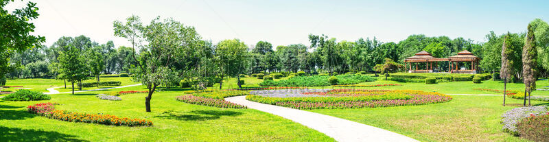 日光,爱达荷公园岛,运河,哈尔滨,早晨,草坪,夏天,完美,都市风景