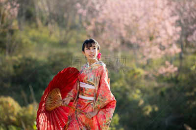 传统,泰国,和服,伞,红色,家庭花园,衣服,樱之花,女人