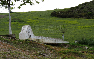 喷泉,加里波里半岛,水平画幅,无人,欧洲,玉米,户外,春天,容器,海滩