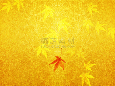 秋天,合成图像,水平画幅,无人,四季,植物,鸡爪枫,2015年,金叶,屏风分区