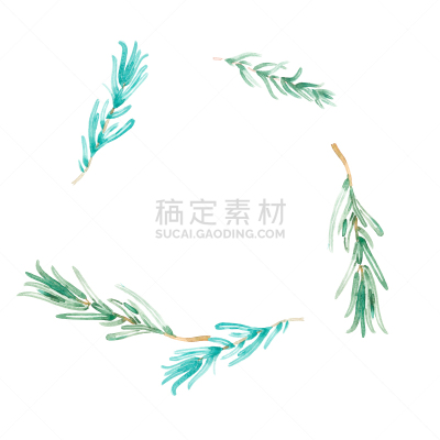 香料,水彩画,水彩画颜料,美术工艺,传单,食品,环境,仅一朵花,色彩鲜艳,装饰物