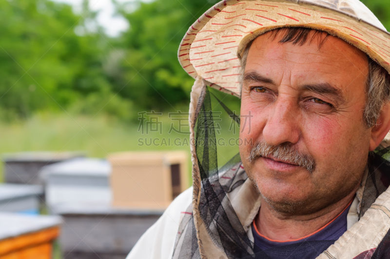 beekeeper,注视镜头,非洲杀人蜂,密封的,昆虫群,蜂蜡,蜂箱,六边形,水平画幅,蜜蜂