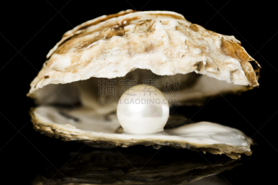 珍珠牡蛎,牡蛎,珠母,宝石,水平画幅,贝壳,无人,软体动物,珠宝,黑色背景