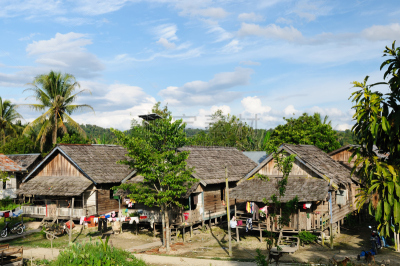 印度尼西亚,乡村,热带雨林,婆罗洲岛,长脚鹬,迪雅克人,小屋,草棚,高跷屋,热带气候