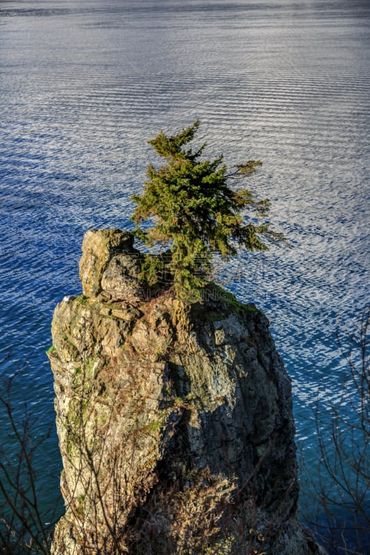 西沃许岩石,史坦利公园,航拍视角,加拿大,温哥华,垂直画幅,水,公园,偏远的,户外