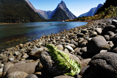 新西兰,峡湾,自然,水平画幅,milford track,无人,户外,迈特峰,海洋,陆地