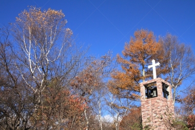 山梨县,日本,清里明良,森林,天空,里山,水平画幅,无人,火山地形