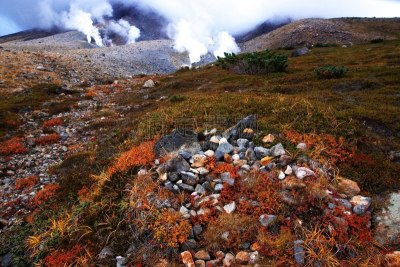 秋天,旭岳火山,大雪山国家公园,北海道,国家公园,水平画幅,无人,户外,烟,东南亚