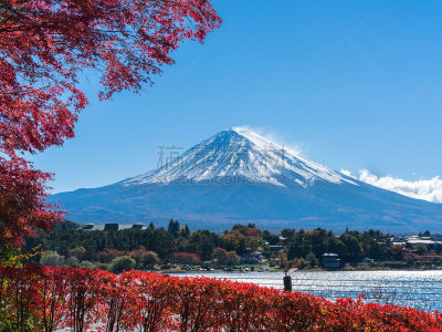富士山,秋天,日本,彩色图片,水,水平画幅,樱花,樱桃,雪,无人