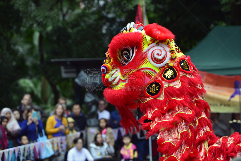 狮子舞蹈,演出服,灵性,艺术,水平画幅,龙,白色,中国,传统服装,狮子
