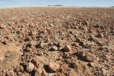sturt stony desert,南澳大利亚,偏远地区,水平画幅,岩石,无人,2015年,偏远的,户外,沙漠