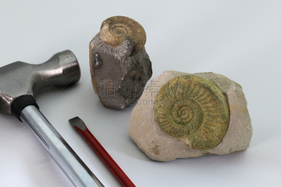 化石,留白,锤子,地球女神,水平画幅,岩石,贝壳,生物,无人,白色背景