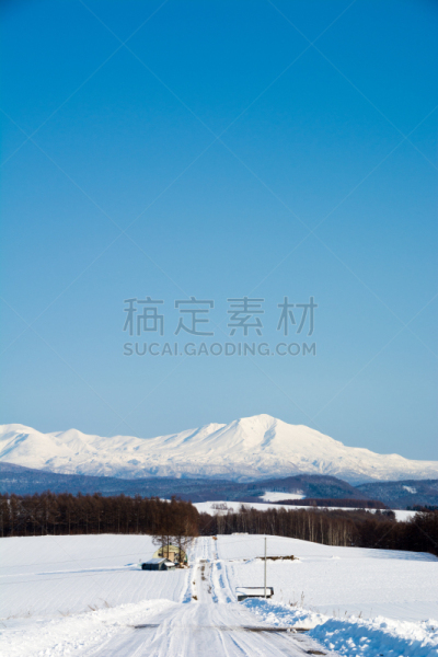 澳大利亚阿尔卑士山脉,旭岳火山,大雪山,滑雪痕,扫雪车,冬季服务,轮胎印,北海道,垂直画幅