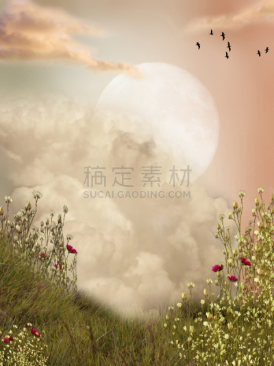 地形,巫术,垂直画幅,天空,公主,月亮,鸟类,户外,草,云景