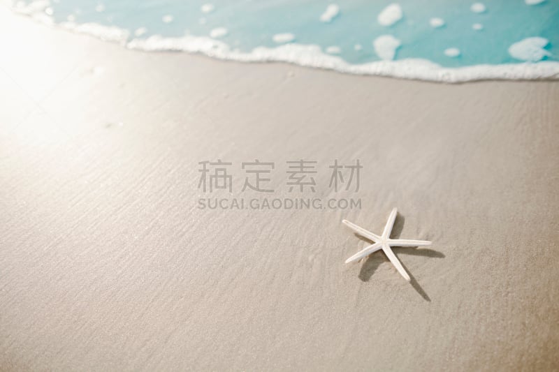 海滩,海星,水,留白,灵性,沙子,平视角,海产,夏天,完美