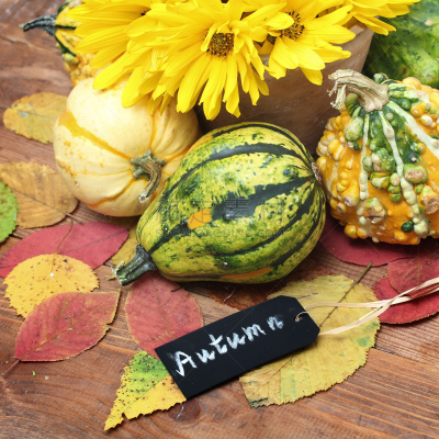 南瓜,叶子,桌子,木制,秋天,acorn squash,日本小南瓜,留白,素食,无人