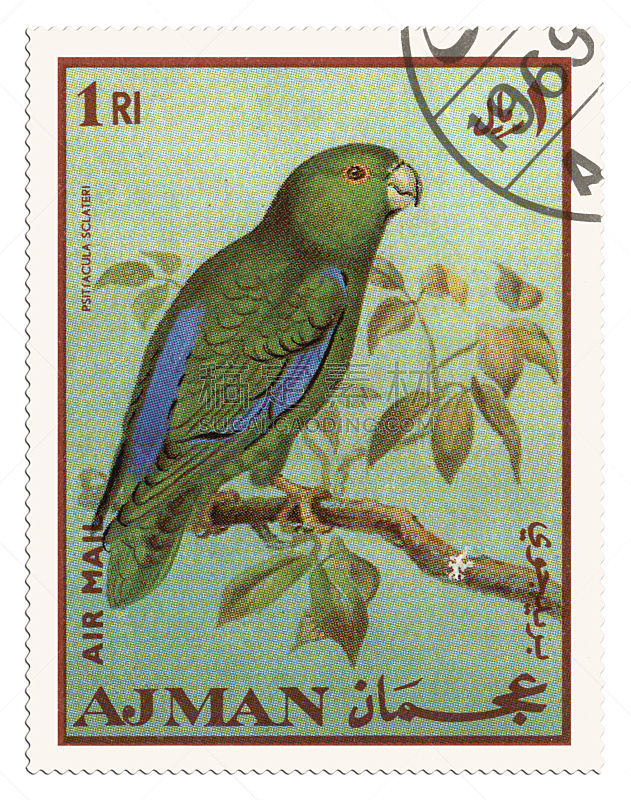 鸟类,邮戳,垂直画幅,无人,白色背景,背景分离,阿拉伯联合酋长国,过去,特写