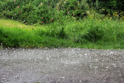 冰雹,巨大的,雹暴,上下跳动,暴雨,不舒服,水,暴风雨,水平画幅,泥土