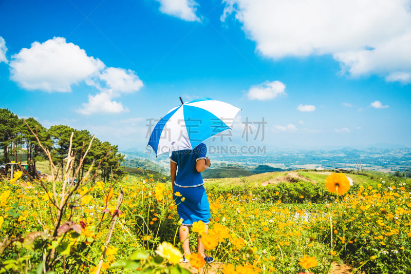 泰国,田地,女人,亚洲,高山族,伞架,放松,花,旅行,睡觉