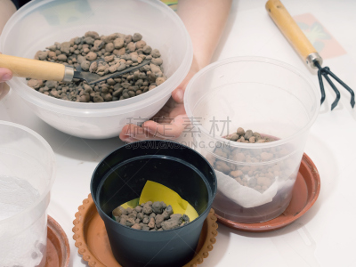 住宅内部,水平画幅,研磨食品,推土机,泥土,夏天,特写,移植手术,部分,植物