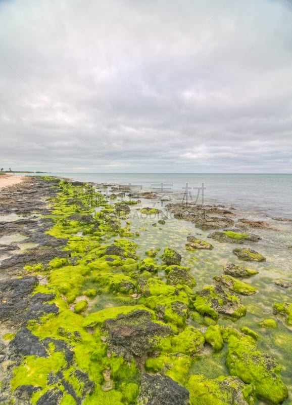 佛罗里达群岛,bahia honda key,自然,垂直画幅,水,无人,夏天,户外,佛罗里达,海洋