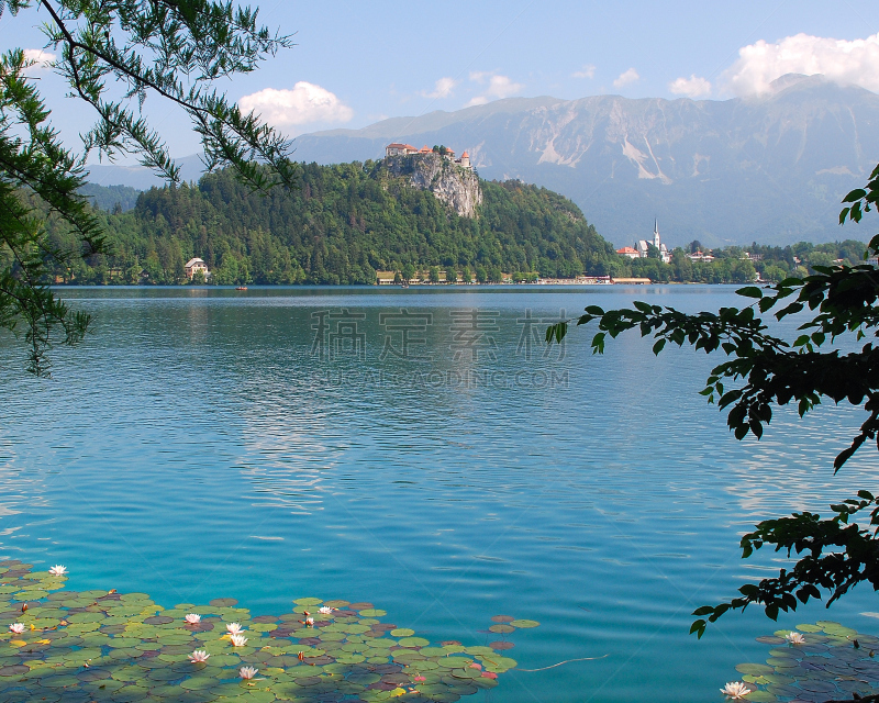 布雷德湖,斯洛文尼亚,水平画幅,睡莲,julian alps,无人,2015年,户外,湖,摄影