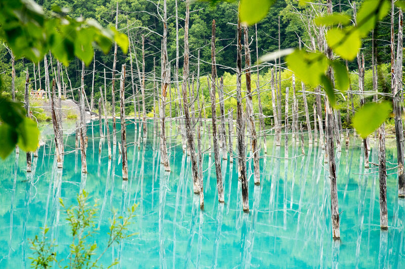 北海道,蓝湖,自然,水平画幅,绿色,地形,无人,蓝色,日本,夏天