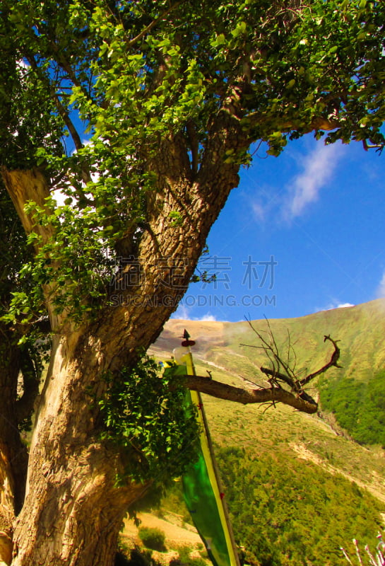 徒步旅行,安娜普娜环线,垂直画幅,天空,地形,秋天,无人,夏天,户外,草