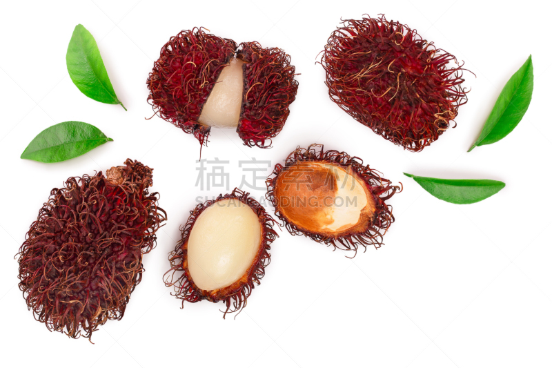 叶子,红毛丹,留白,平铺,分离着色,文字,热带水果,白色背景,白色,红色