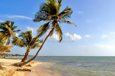 海滩,伯利兹,ambergris caye,自然美,风景,水,美,水平画幅,沙子
