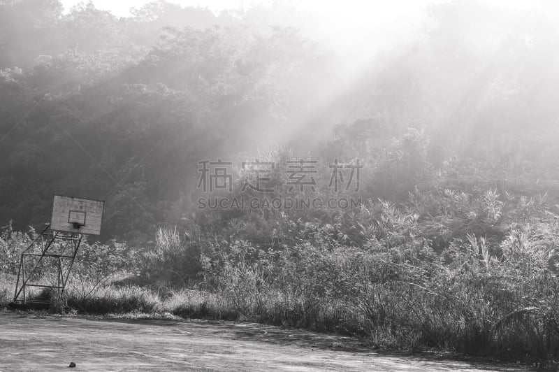 雾,地形,早晨,潘帕斯大草原,篮球框,运动,清新,热带气候,草,自然美